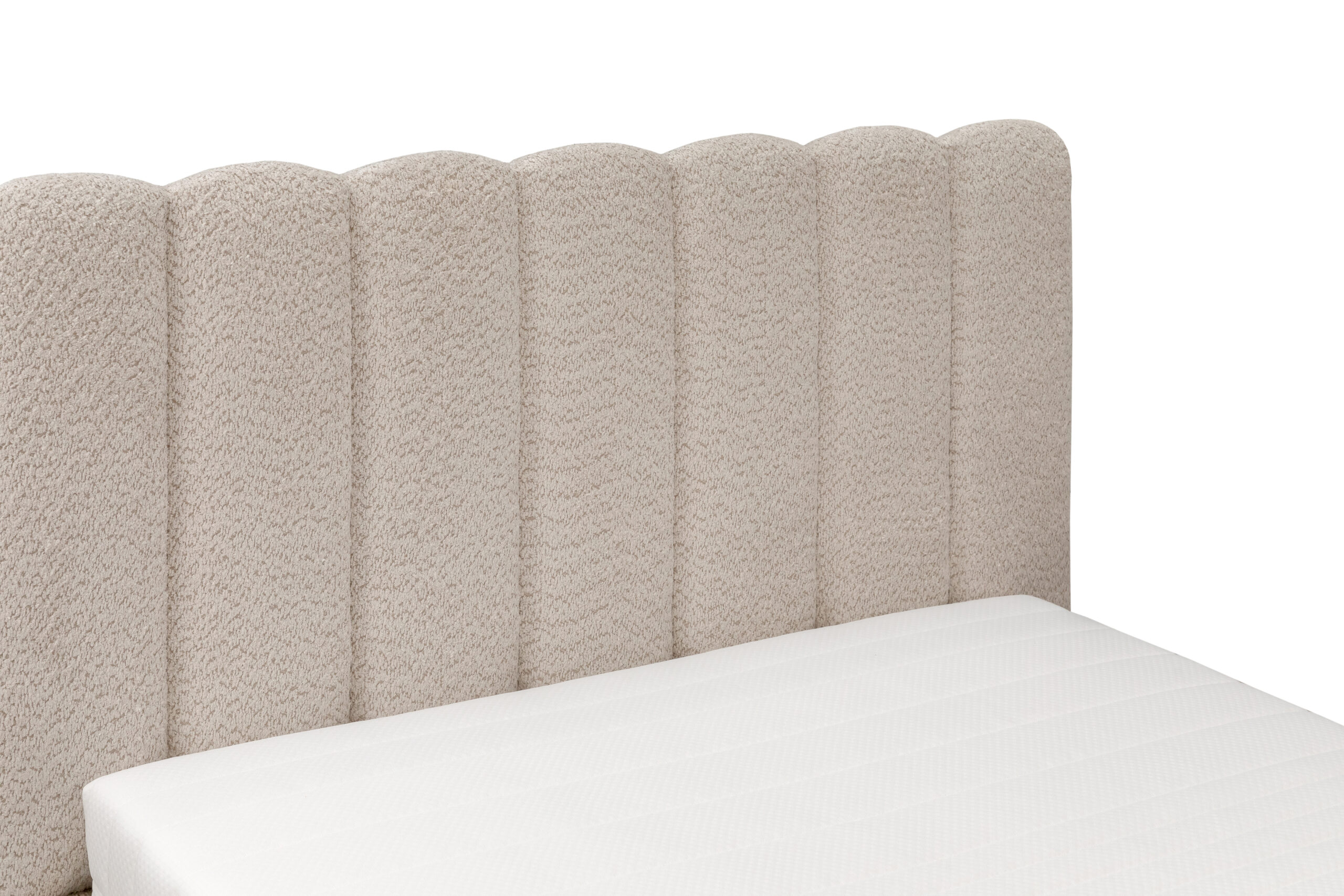 ADRIA LEGS LOVA - Image 3